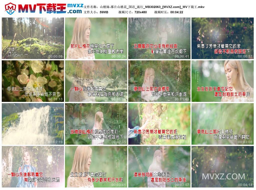 山楂妹-那片山楂花_国语_流行_MB302063